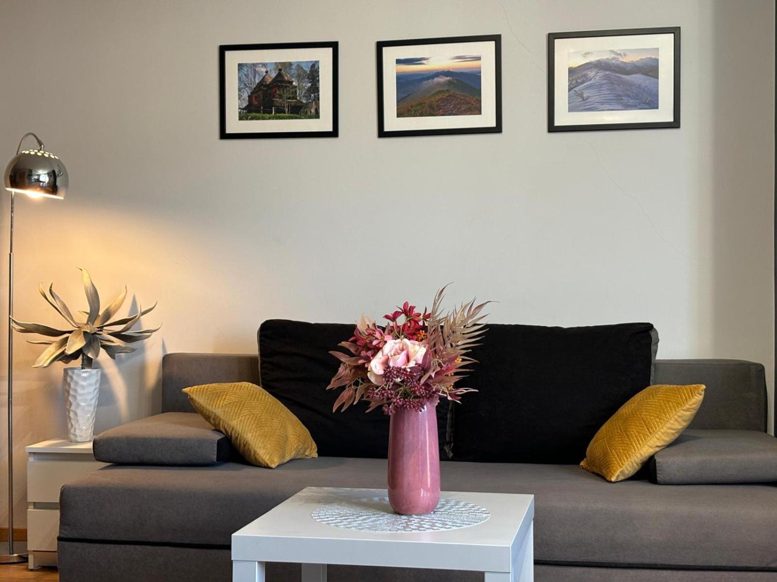Apartament Wygodny 우스트르치키 돌네 외부 사진